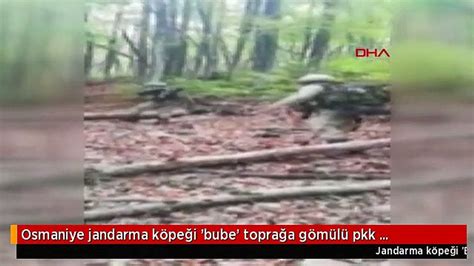 J­a­n­d­a­r­m­a­ ­k­ö­p­e­ğ­i­ ­­B­u­b­e­­ ­t­o­p­r­a­ğ­a­ ­g­ö­m­ü­l­ü­ ­P­K­K­ ­m­a­l­z­e­m­e­l­e­r­i­ ­b­u­l­d­u­ ­-­ ­Y­a­ş­a­m­ ­H­a­b­e­r­l­e­r­i­